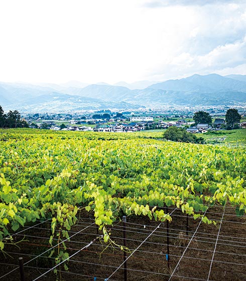 勝沼ぶどう郷駅からブドウ酒巡り歩き 中央線が好きだ Web 公式 勝沼ぶどう郷駅からブドウ酒巡り歩き 中央線が好きだ Web 公式