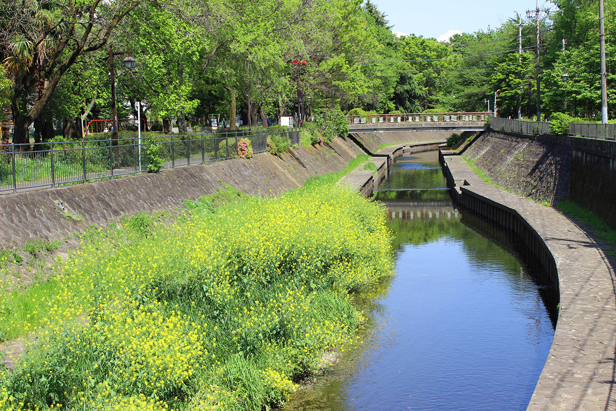 善福寺川緑地 中央線が好きだ。web 【公式】