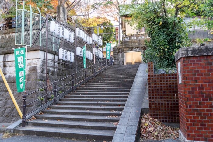 imgi_8_DSC08643のコピー